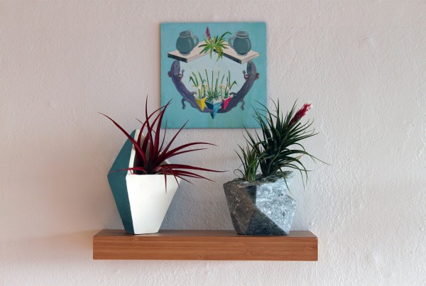 Planter geometric plant Chicago art city of giants cityofgiants graffiti urban plants nature illustration